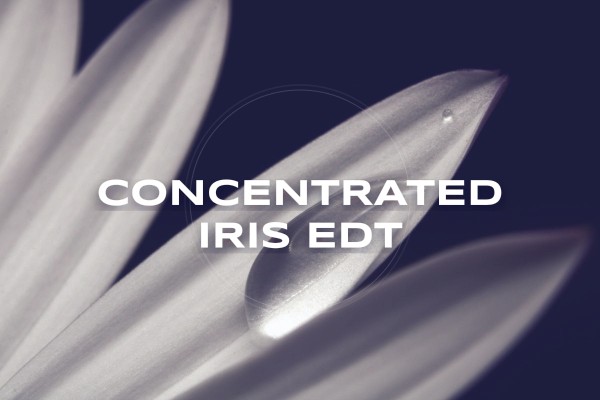concentrated iris edt