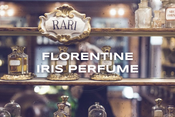 florentine iris perfume
