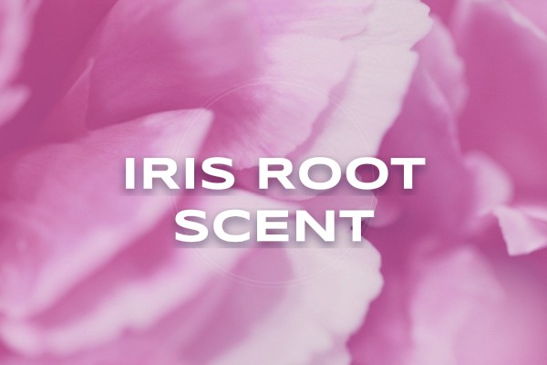 iris root scent