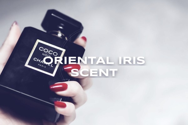 oriental iris scent