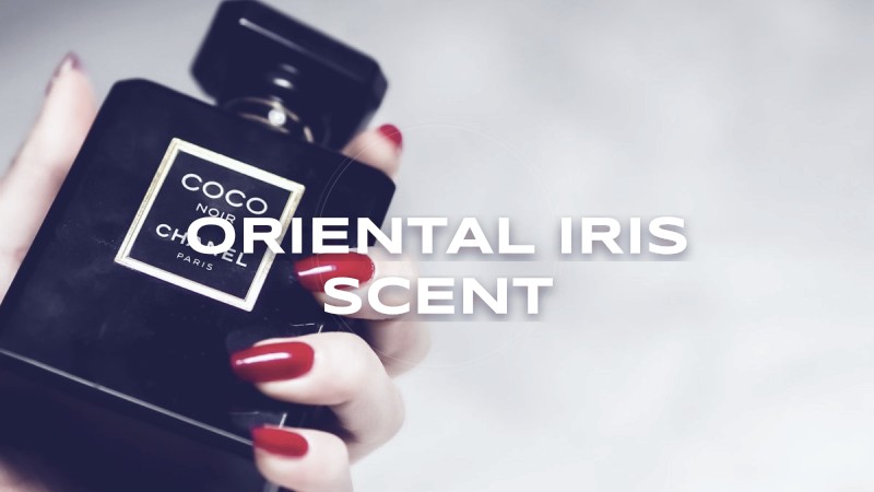 oriental iris scent