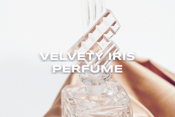 velvety iris perfume