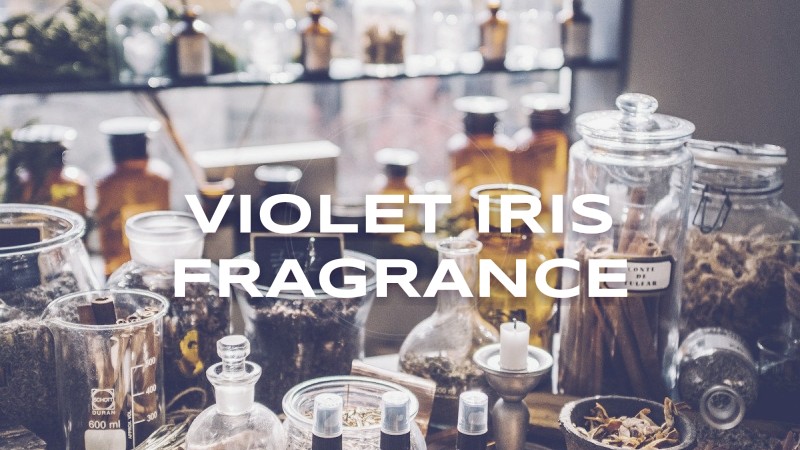 violet iris fragrance